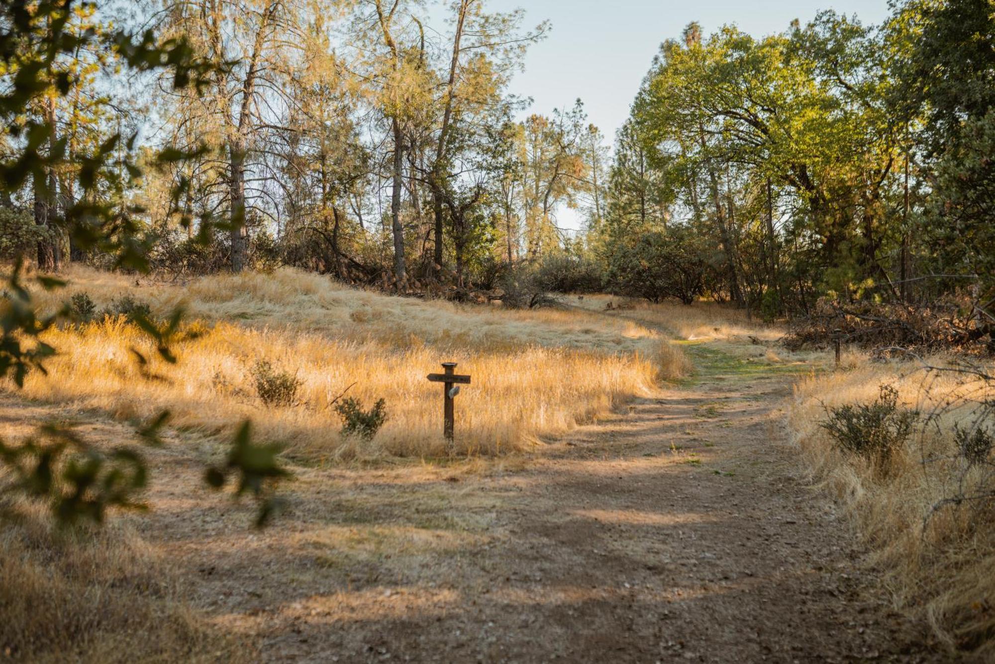 Villa Stone House By Casa Oso, Hot Tub, 43 Private Acres With Hiking Trails *
